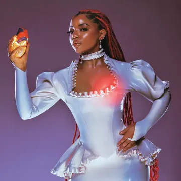 Cheatback-cover