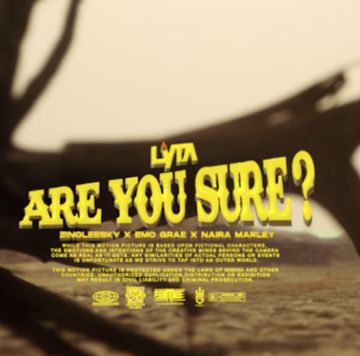 Are You Sure-cover