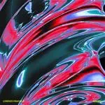 AMICI-cover