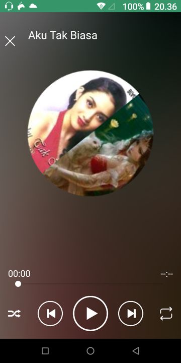 SEBERKAS SINAR SAVITRI-cover