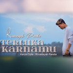 Terluka Karenamu