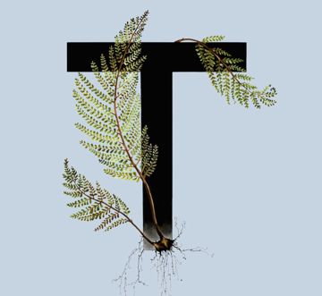 Я буду рядом (by DmitryS) 