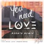 You Need Love(Pegato remix)-cover