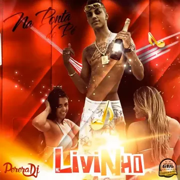 Na Ponta do Pé-cover