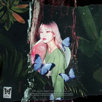 Acid Fly Remix (feat. CAMO)-cover