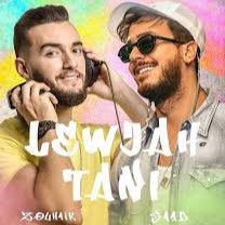 لوجه التاني-cover