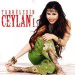 ceylan-mardine-cover-image