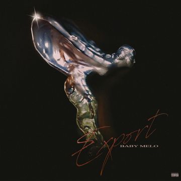 Export-cover