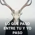 Lo Que Paso Entre Tu Y Yo Paso-cover