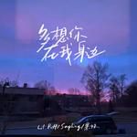 多想你在我身邊-cover