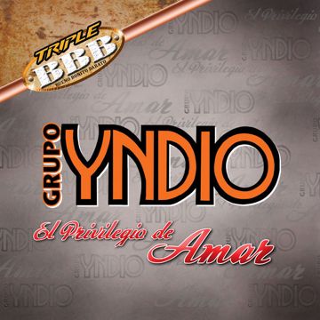 El Privilegio De Amar-cover