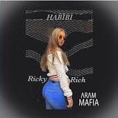 Habibi-cover
