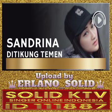 DITIKUNG TEMAN-cover
