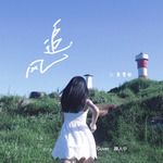 追风(原唱:颜人中)-cover
