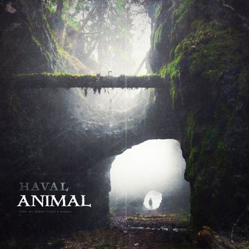 ANIMAL-cover