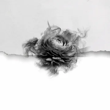 Tanha hum-cover