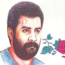 Bu Gala Daşlı Gala-cover