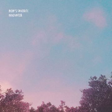MORE THAN A TV STAR-cover
