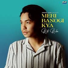 MERI BANOGI KYA-cover
