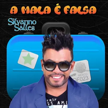 A Mala é Falsa-cover
