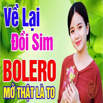 Về Lại Đồi Sim