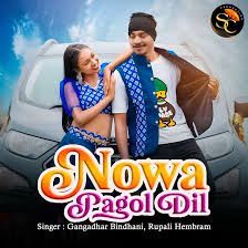 Nowa pagol dil-cover
