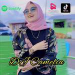 DJ CAMELIA -REVO RAMON-cover