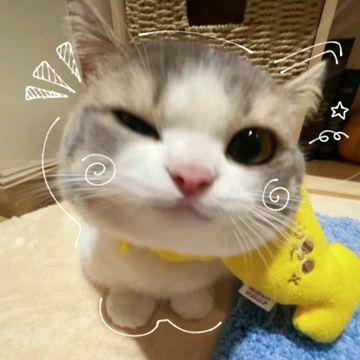 coveImg