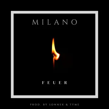 FEUER-cover