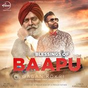 Blessings Of Baapu-cover
