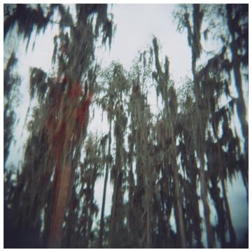 Is This Your Dream or Mine-cover