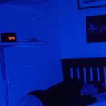 Wedding Night-cover
