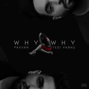 Why Why-cover