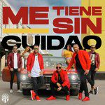 Me Tiene Sin Cuidao-cover