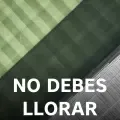 No Debes Llorar-cover