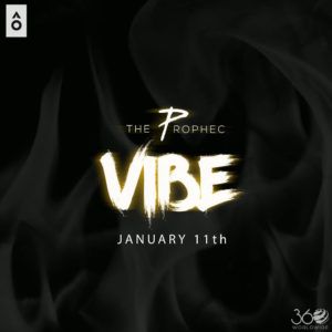 Vibe-cover