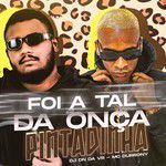 Foi a Tal da Onça Pintadinha-cover
