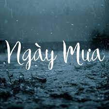 Những Ngày Mưa Gió-cover