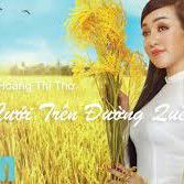 Đám Cưới Trên Đường Quê-cover