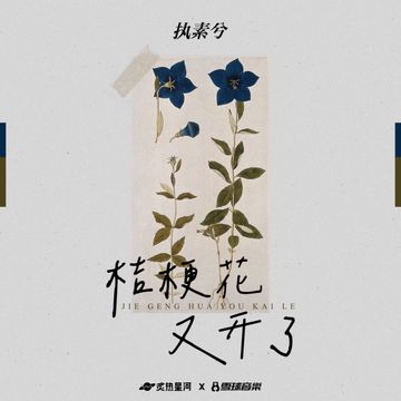 桔梗花又开了-cover