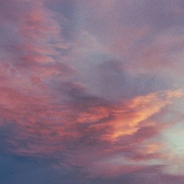 Patience-cover