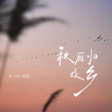 秋雁归故乡