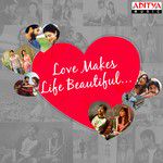 Beautiful Love(From "Naa Peru Surya Naa Illu India")-cover