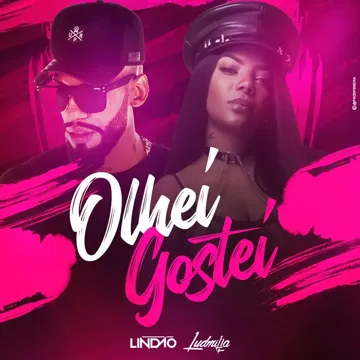 Olhei Gostei-cover