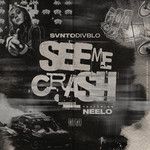 See Me Crash-cover