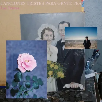 Estúpido Corazón Estúpido