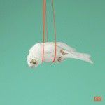 4000Hz(Dutty Dove Club Mix)-cover