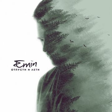 Отпусти и лети-cover