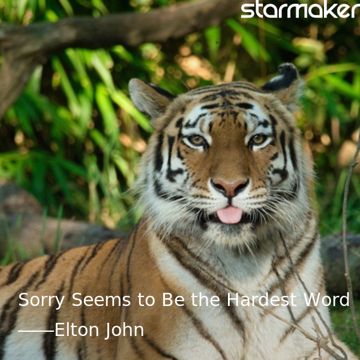 Sorry Seems to Be the Hardest Word-cover