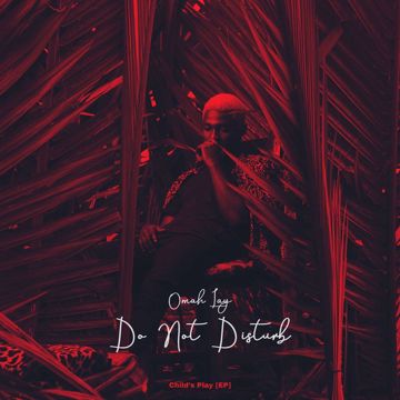 Do Not Disturb-cover